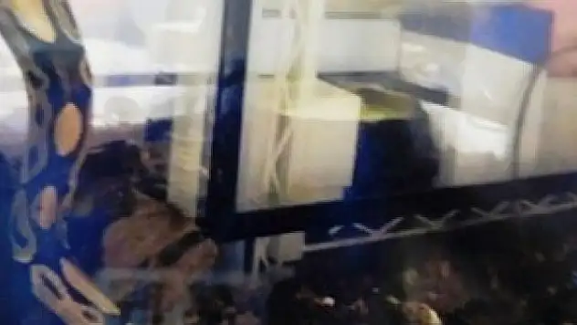 Japonya'da 2 metrelik yılan sahibinden kaçarak kayıplara karıştı