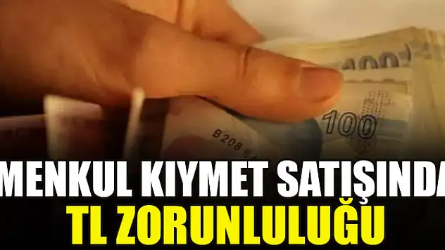 Menkul kıymet satışında TL zorunluluğu