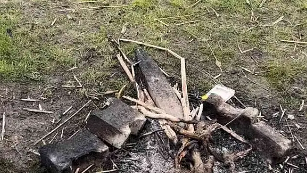 Şehir magandaları piknik masasını yaktı