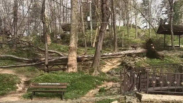 Şiddetli rüzgar çatıları uçurdu, yangınlara neden oldu