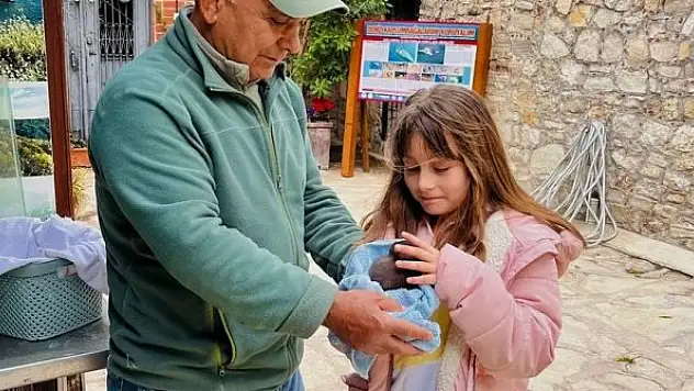 Yavru sansar yaşama tutundu