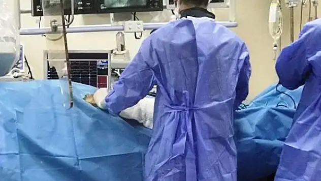 Tıp tarihinde bir ilk: Bir hastaya ineğin kalp kapakçıkları nakledildi