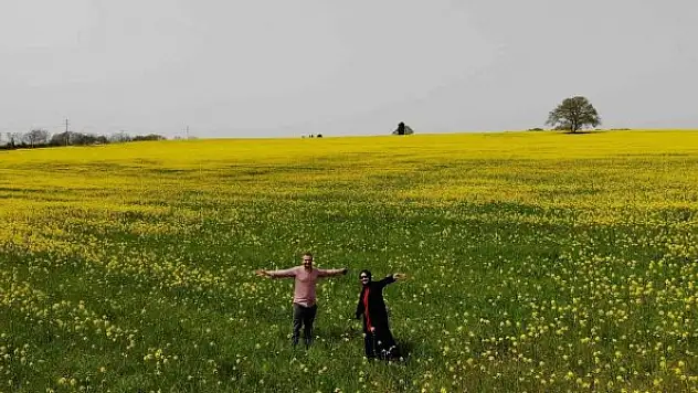 Kanolanın üretimi katlanarak artacak