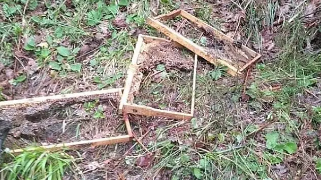 Arı kovanları tahrip edildi