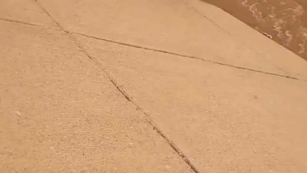 İnek  su kanalına düştü