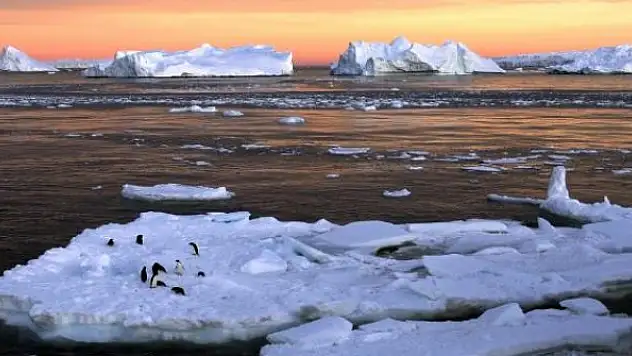 Antarktika'da alarm: Deniz buzu en düşük seviyesinde