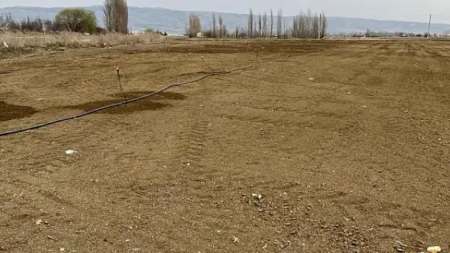 Rüzgarla birlikte kuruyan toprak çiftçiyi şaşkına çevirdi