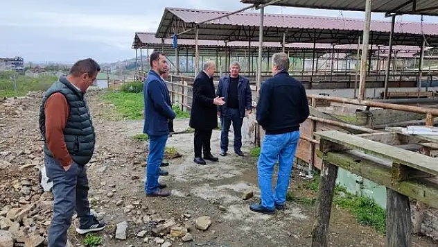 Ünye'de hayvan pazarı yenileniyor