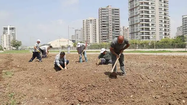 İhtiyaç sahipleri için sebze bahçesi