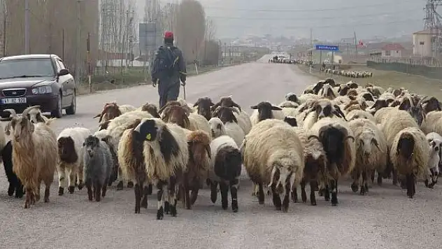 Göçerlerin zorlu yolculuğu başladı
