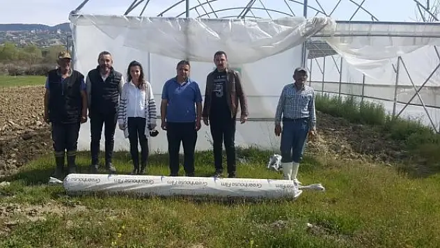 Fırtınada zarar göre seralara büyükşehirden destek