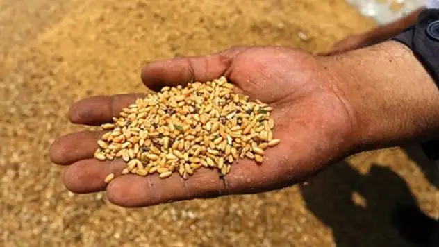 'Kotaları kaldırın, dünyayı doyuralım'