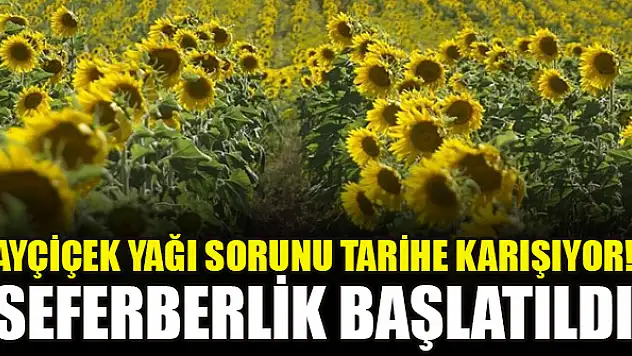 Ayçiçek yağı sorunu tarihe karışıyor! Seferberlik başlatıldı