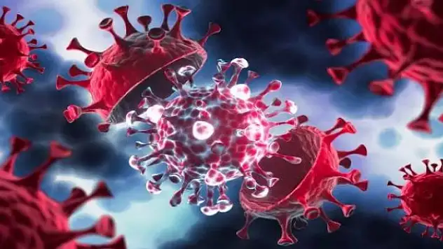 11 ülkede 169 gizemli vaka! Koronavirüsle bağlantısı var mı?