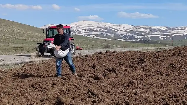 Bahar geldi tohum toprak ile buluştu