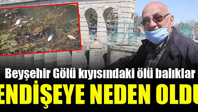 Beyşehir Gölü kıyısında ölü balıklar bulundu