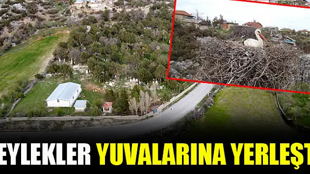 Leylekler Beyşehir'de yuvalarına yerleşti