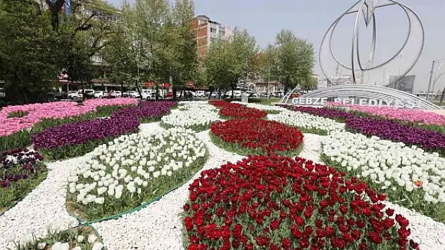 Gebze rengarenk çiçeklerle donatılıyor