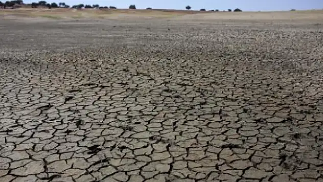 BM: Dünya topraklarının yüzde 40'ı bozuldu