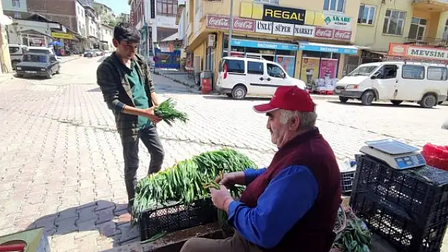 Dağdan topladıkları otlarla geçimlerini sağlıyorlar