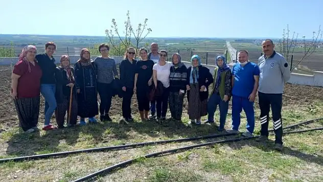 Edirne'de huzurevi sakinleri meyve sebze yetiştiriyor