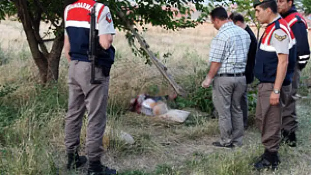 Taşlama makinesiyle budama yaparken kendisini kesti!