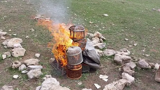 Kınalı keklikler doğaya bırakıldı, kafesleri yakıldı