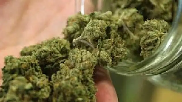 İç çamaşırından esrar çıktı