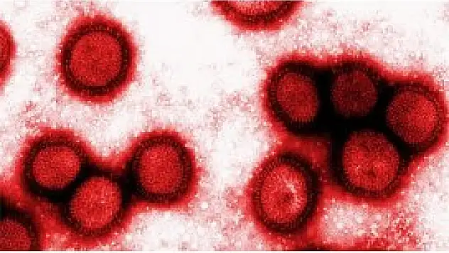 WHO'dan virüs uyarısı