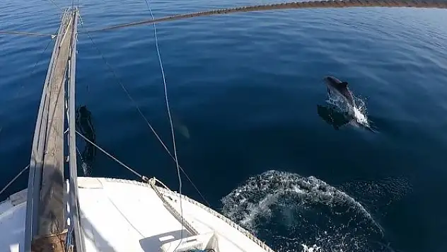 Kılıç balığı avı renkli görüntülere sahne oldu