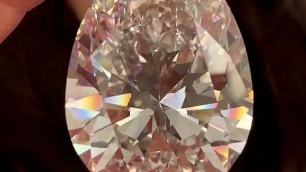 Dünyanın en büyük elması açık artırmaya çıkarılacak