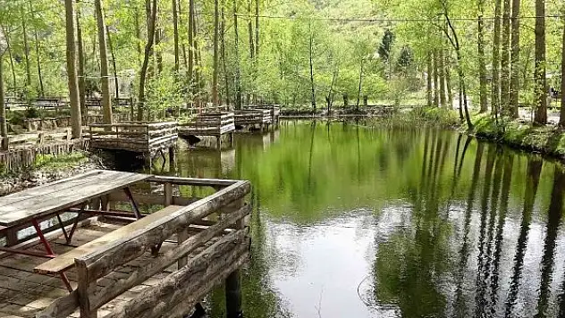Yayla ama yüksekte değil, görenleri şaşırtıyor