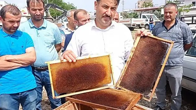 Arıcılar sahte bala dikkat çekti