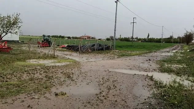 Dolu, tarım alanı ve ağaçlara zarar verdi