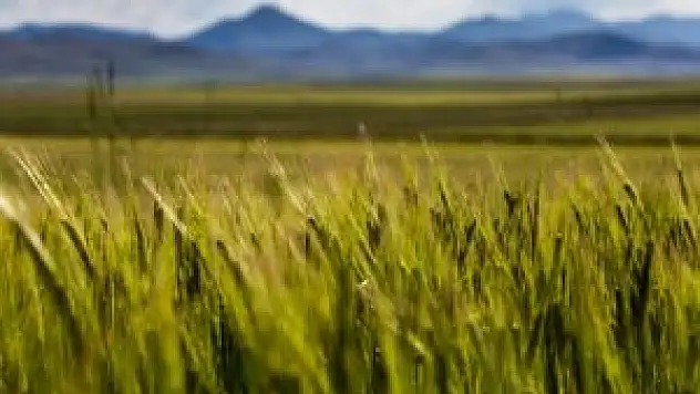 Başkan Erdoğan'dan çiftçiye uyarı!