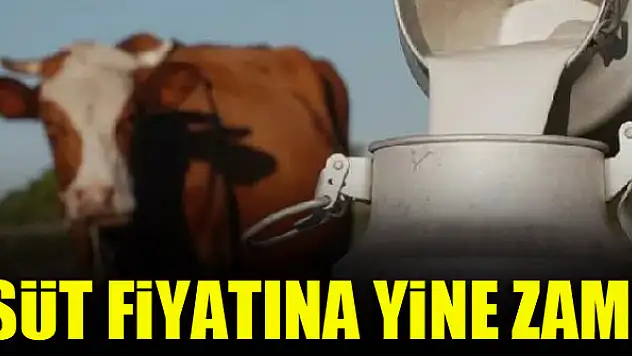 Süt fiyatına yine zam!