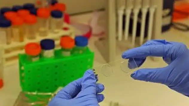 Türkiye biyoteknolojide çekim merkezi haline getirilecek