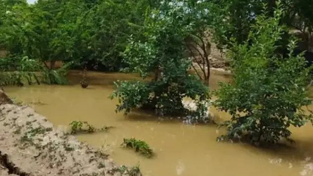 Afganistan'da sel felaketi: 22 ölü, 40 yaralı