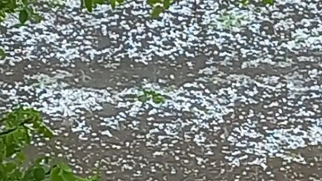 Dolu yağışı kayısıya zarar verdi