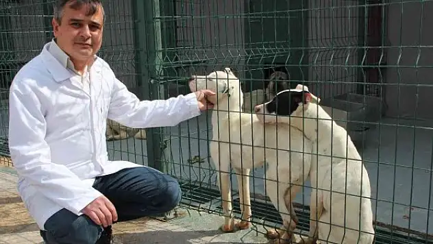 Sokak hayvanlarını sahiplenme çağrısı