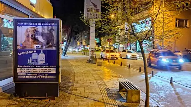 Esnaftan sokak hayvanları için örnek davranış