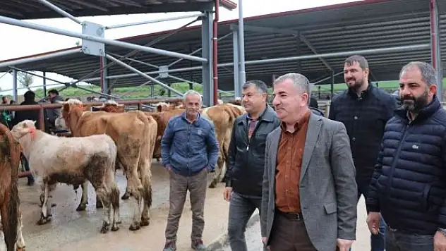 Havza Kapalı Canlı Hayvan Pazarı açıldı