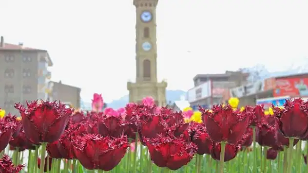 Van'da caddeler ve parklar rengarenk oldu