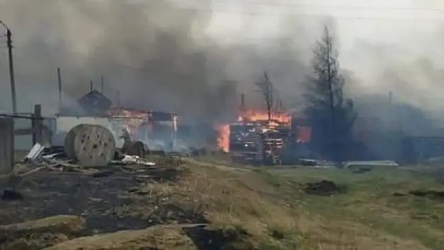 Orman yangınları evlere sıçradı: 5 ölü