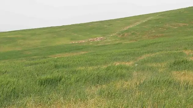 Türkiye'deki kuraklık riskine dikkat çekildi