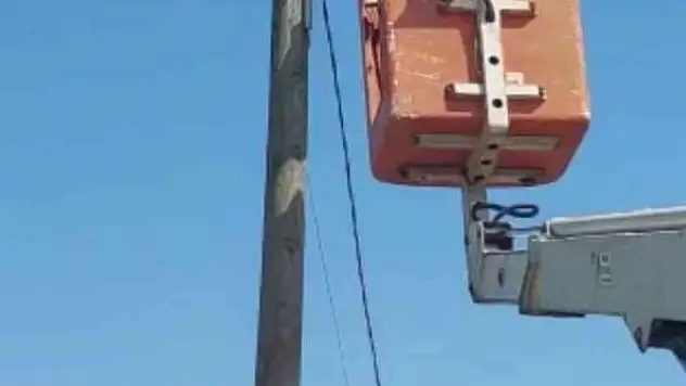 Elektrik direğinde kedi kurtarma operasyonu