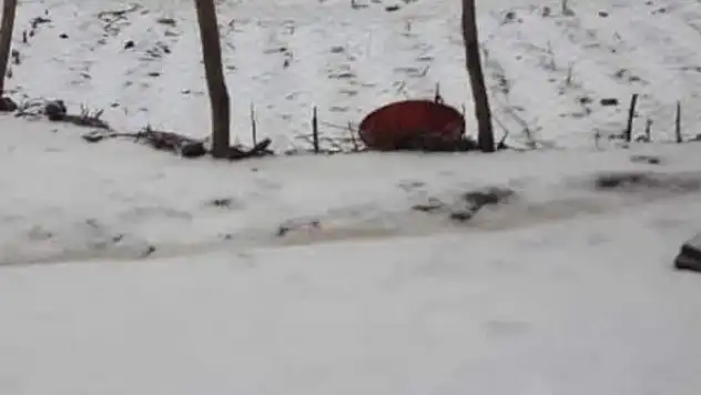 Mayıs ayında kar yağdı