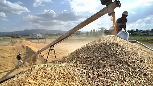 Hububat sektöründen 4 ayda 3,6 milyar dolarlık ihracat