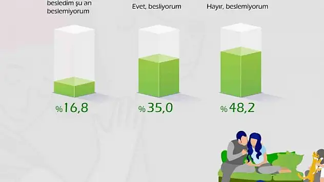 Türk halkı sokak hayvanlarını değil, saldırgan köpekleri tehlikeli buluyor