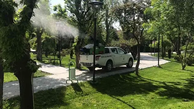 Vektörel mücadele çalışmaları aralıksız sürüyor